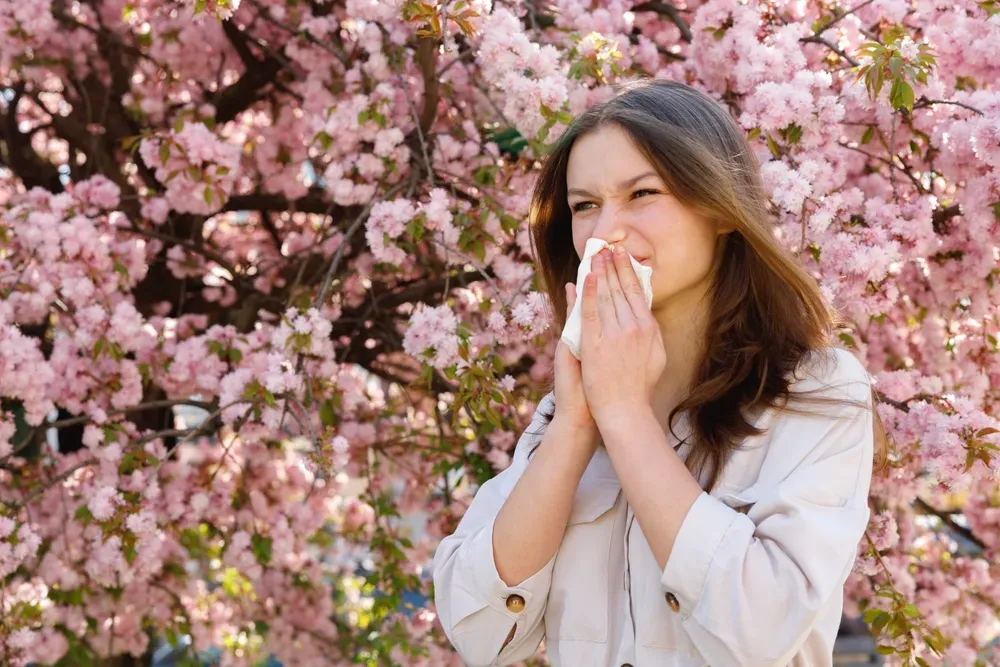 A woman is blowing her nose in front of a cherry blossom tree.