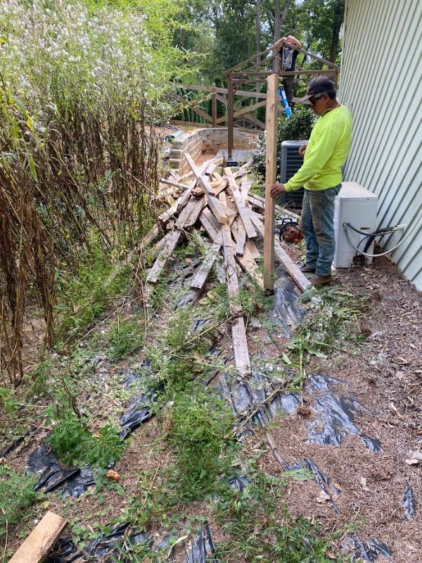 before wood removal