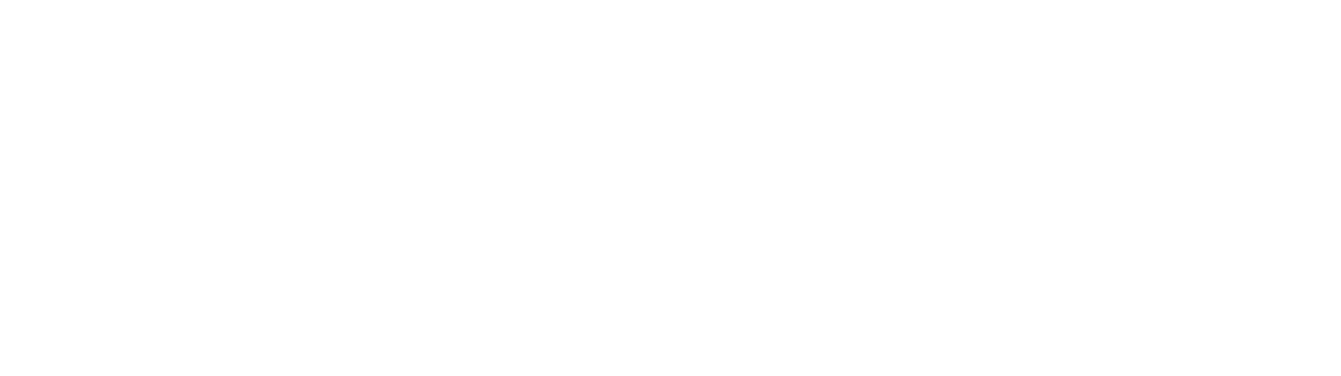 Northstar Student Services logo