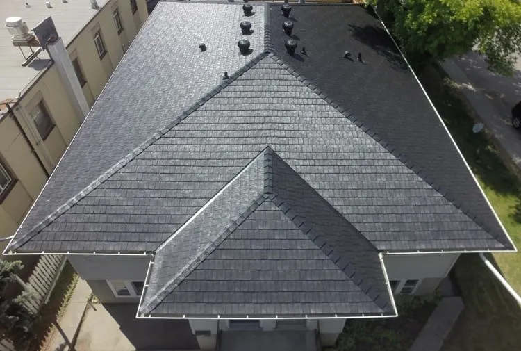 A close up of a black roof with a tree in the background.