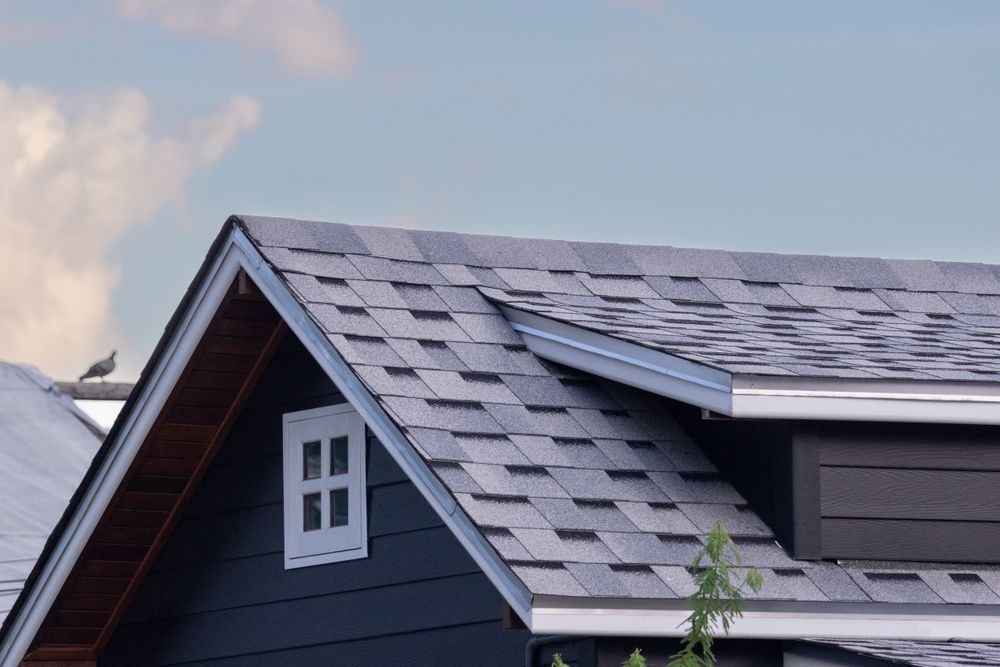 A close up of a black roof with a tree in the background.