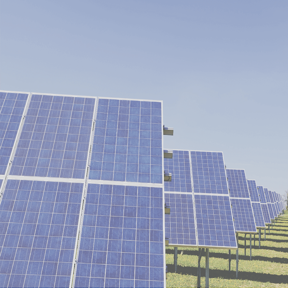 Solar panels in a field, arrayed under a clear, blue sky, generating clean energy.