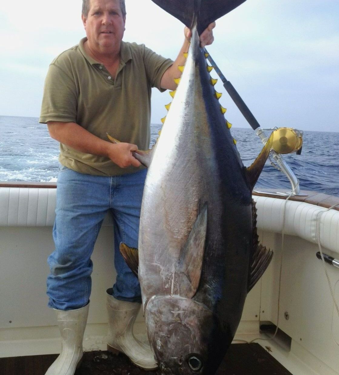 Bluefin tuna from New York