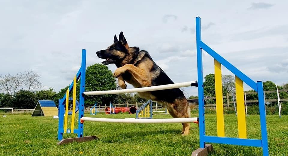 Agility Event