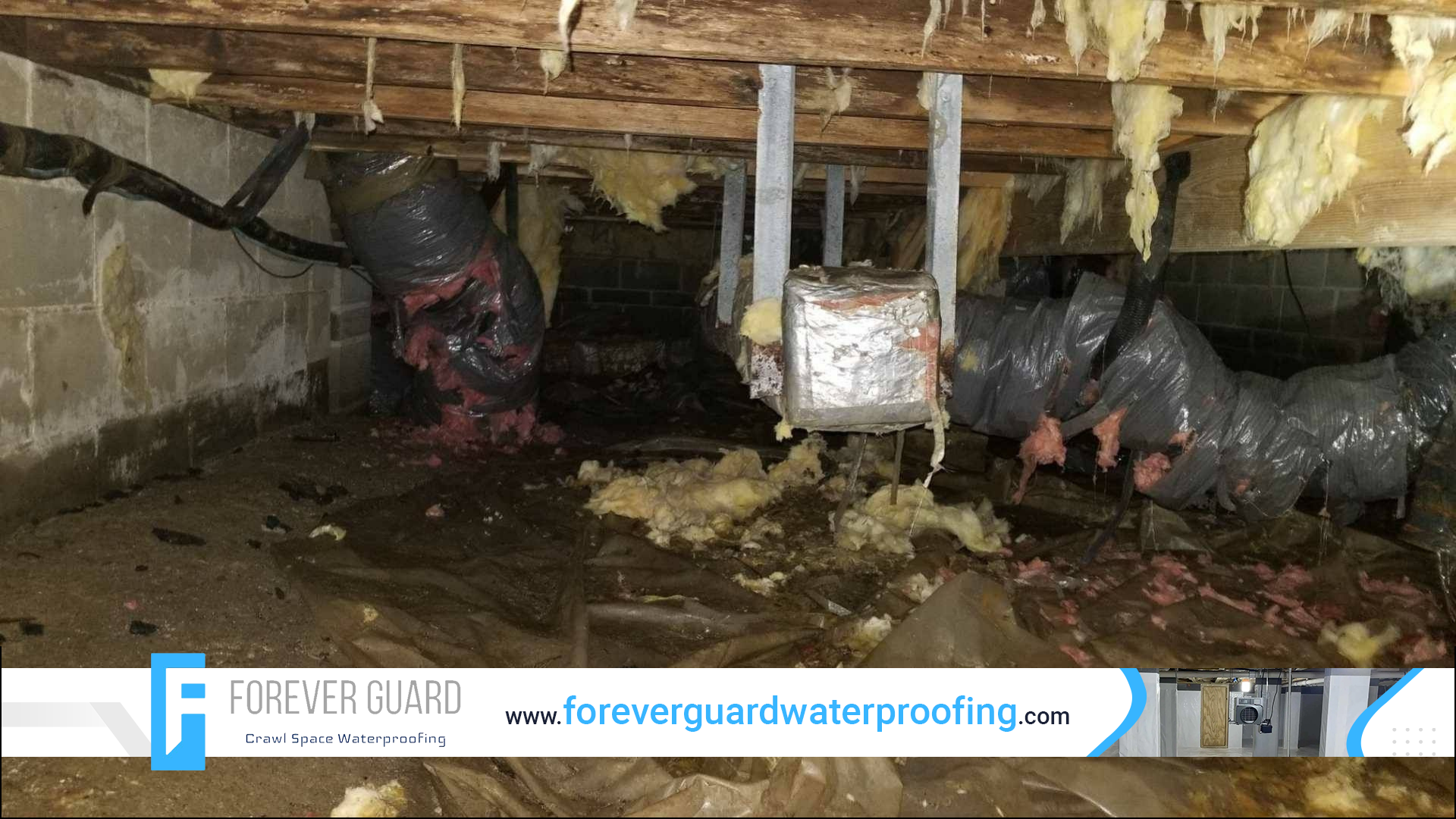 CRAWL SPACE CLEANING SERVICES IN WHITESIDE, TN