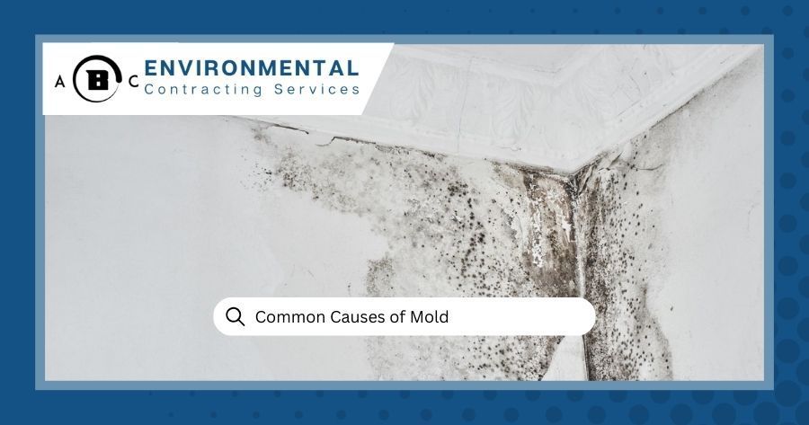 Common Causes of Mold