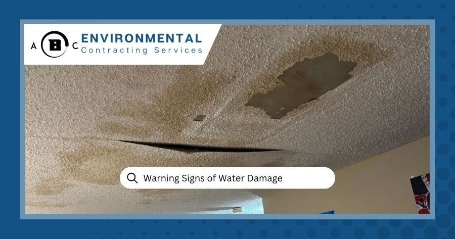 Warning Signs of Water Damage