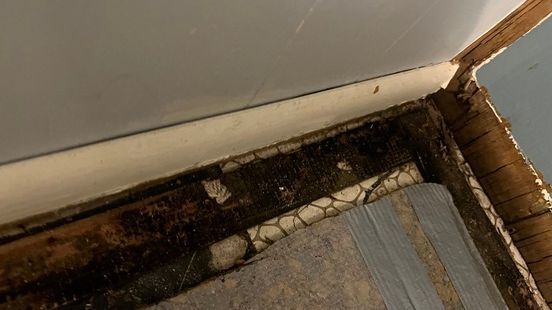 bedroom damage on flooring in columbia, mo home