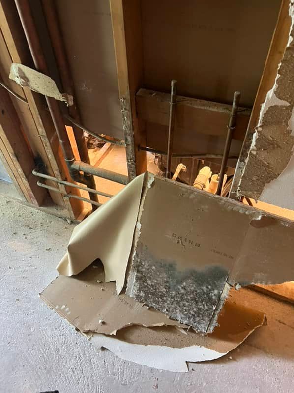 drywall water damage and mold