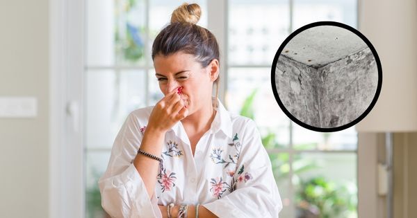 how to get rid of mold smell