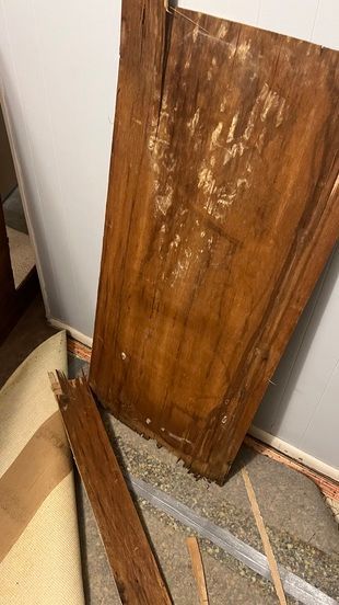 mold on wall panels in columbia, mo home