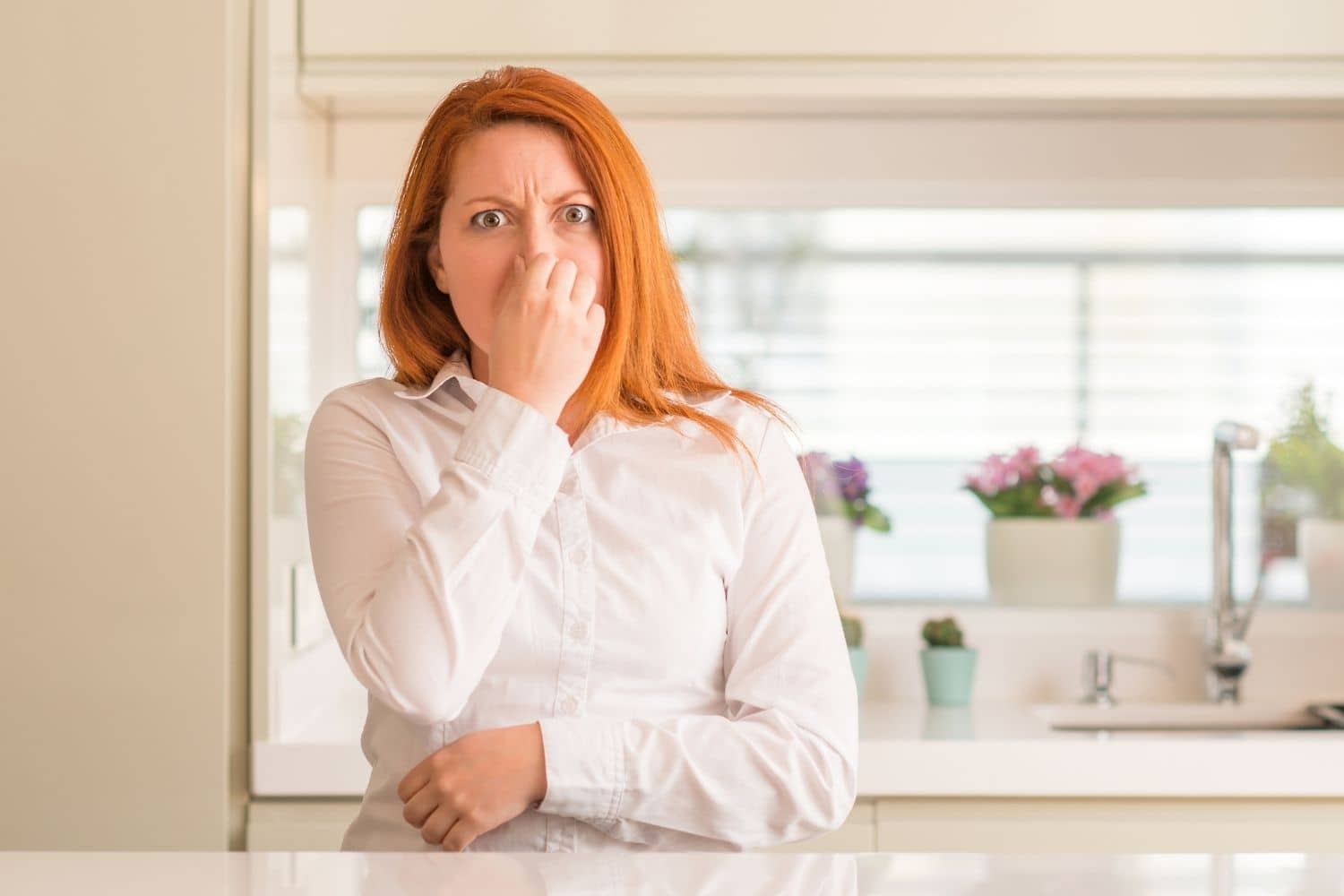 odor removal company