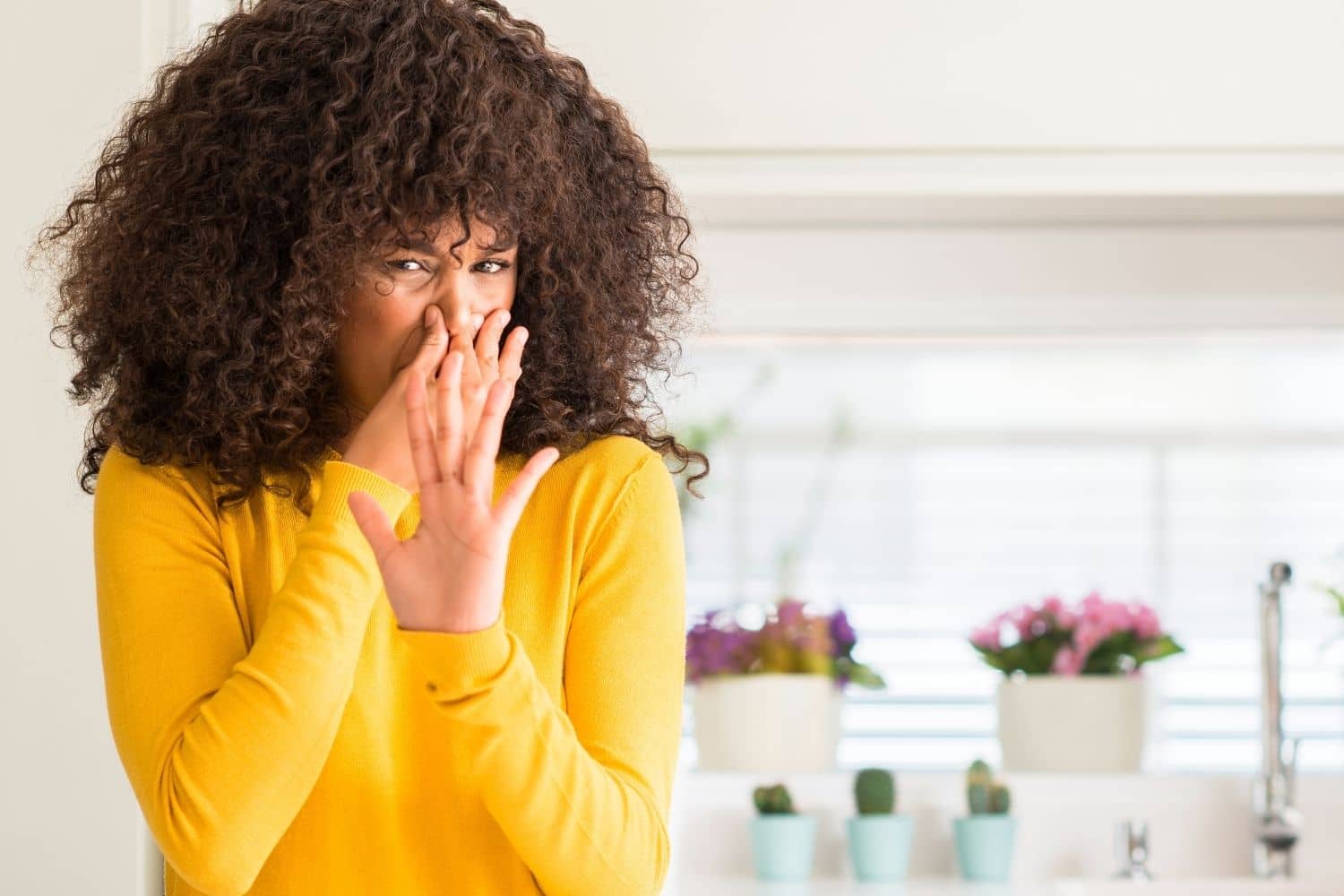 odor removal near me