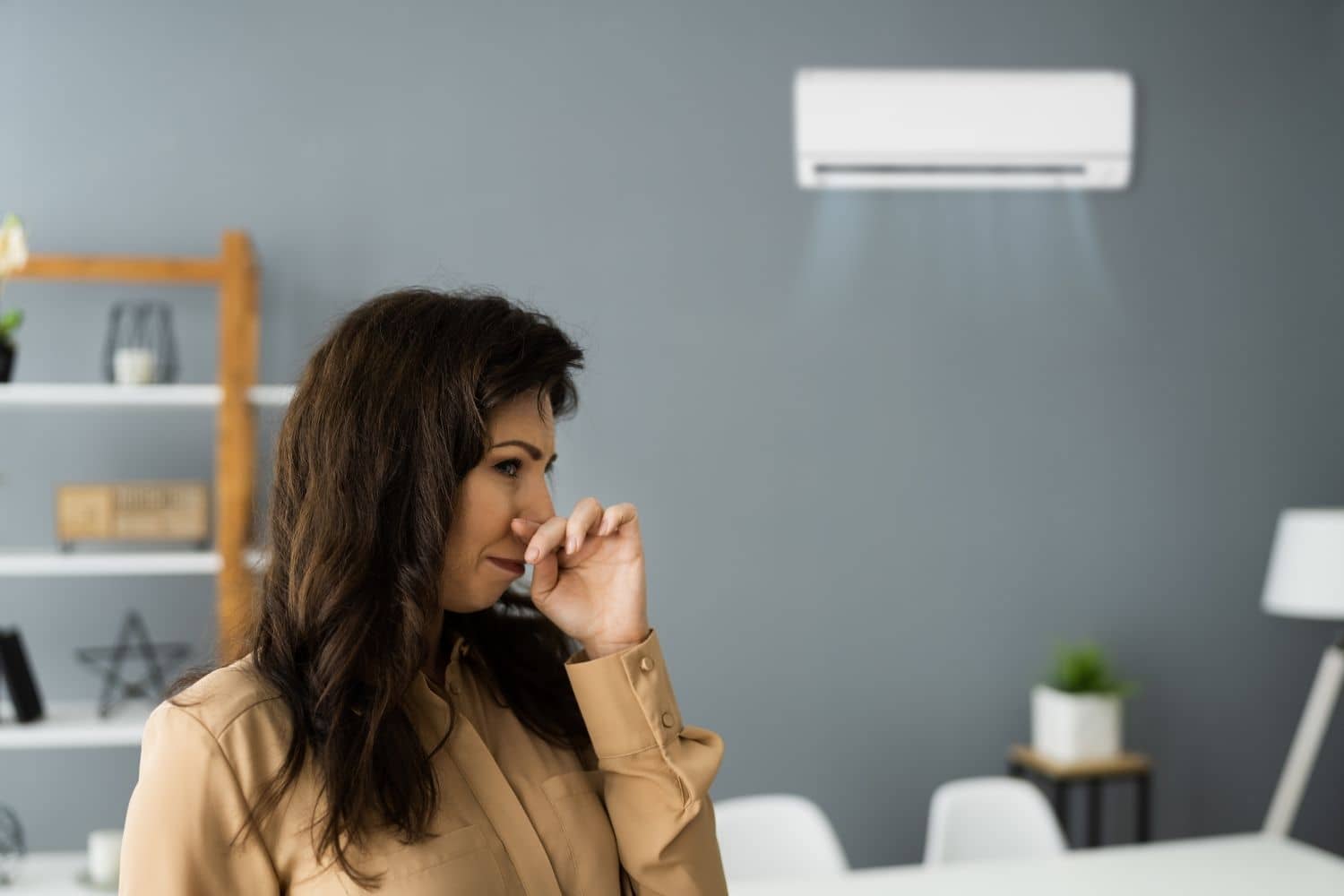 odor removal service