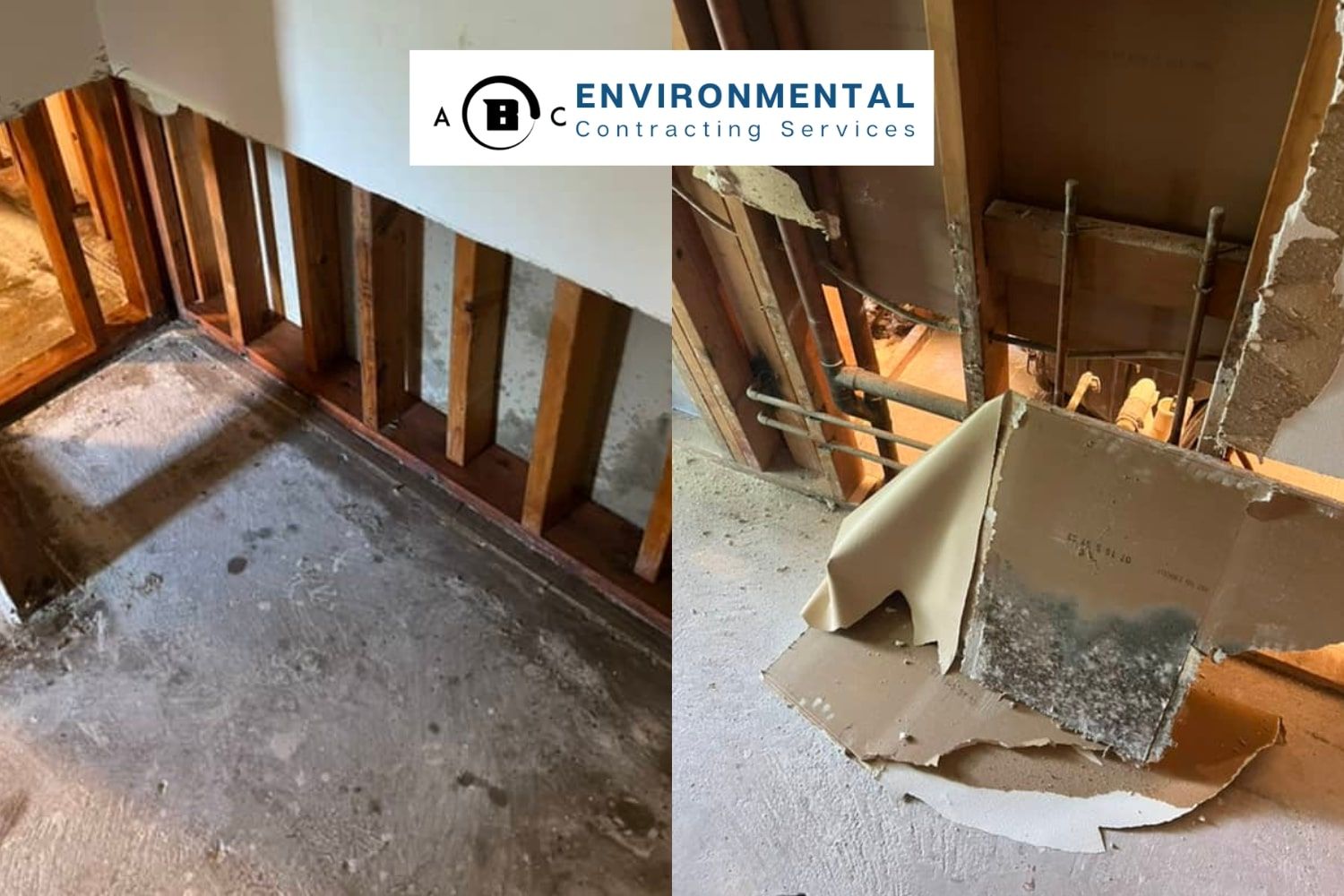 water damage and mold removal