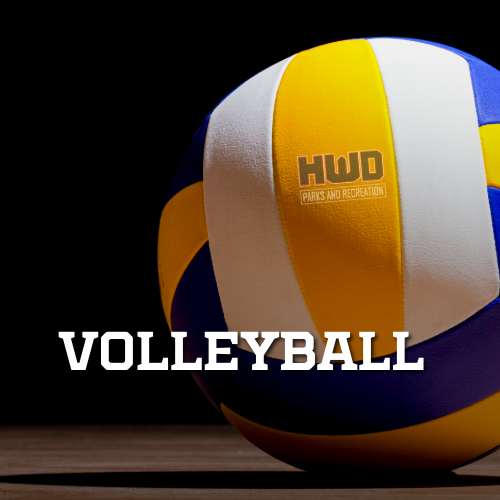 A blue volleyball with the word volleyball below it.
