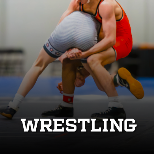 An icon of two people wrestling in a circle with the word wrestling below it.