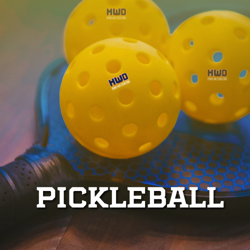 A pickleball logo with a paddle and ball on a blue background.