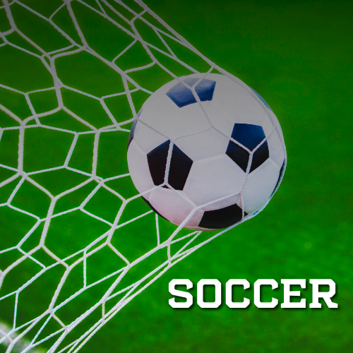 An icon of a soccer ball with the word soccer below it.