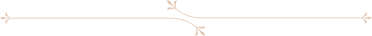 Thin beige decorative border with small floral accents on a white background