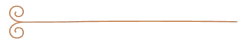 Tan decorative horizontal line with a curled flourish on the left in light brown on white background