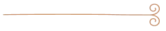 Thin orange horizontal line with decorative curled loops at the right end on a white background