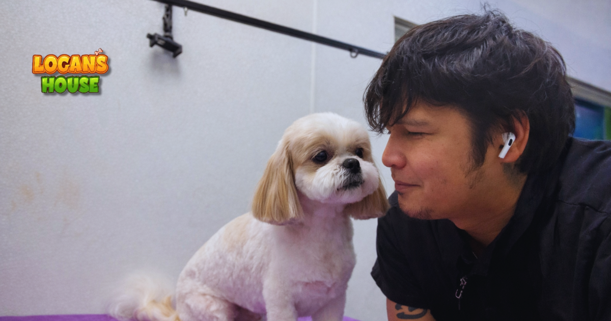 Dog groomer calmly bonding with a freshly groomed small dog on a grooming table at Logan’s House in 