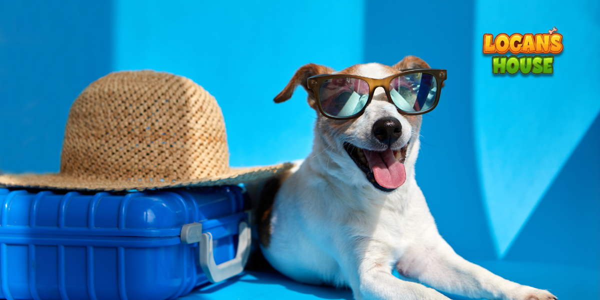 Dog in sunglasses with suitcase, ready for boarding at Logan’s House.