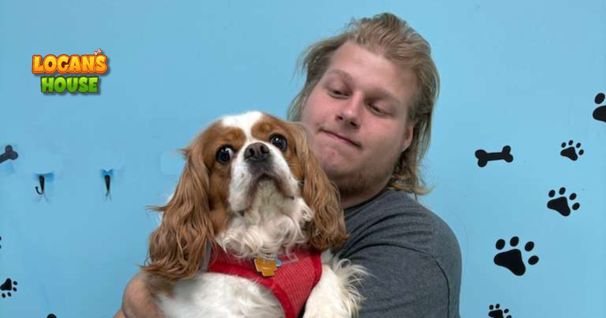 Staff member holding a small dog during a calm interaction at Logan’s House dog daycare in Gurnee, I