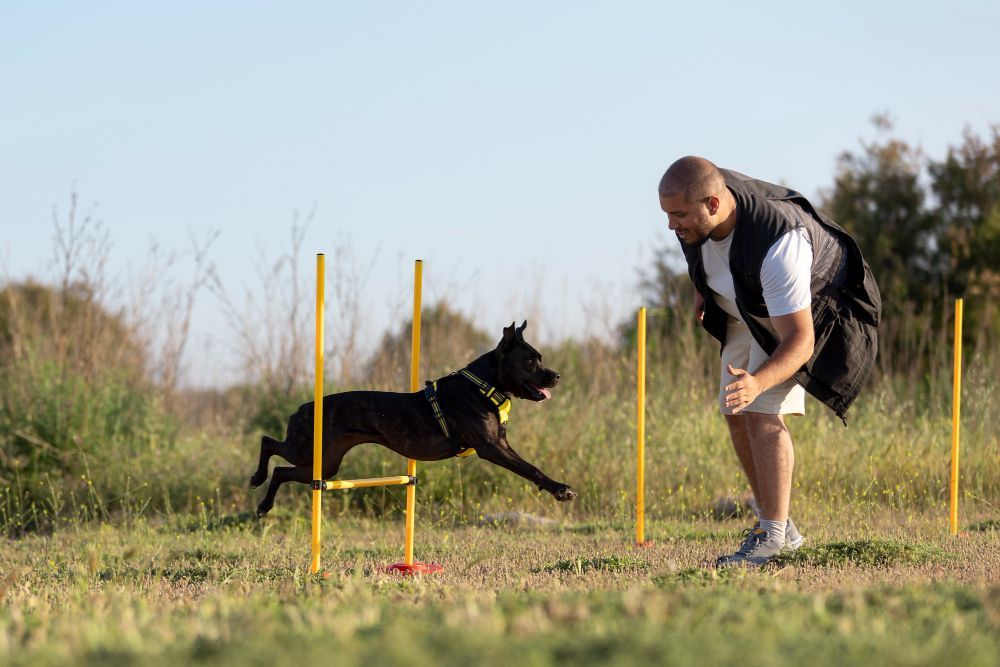 Trainer and Black Dog