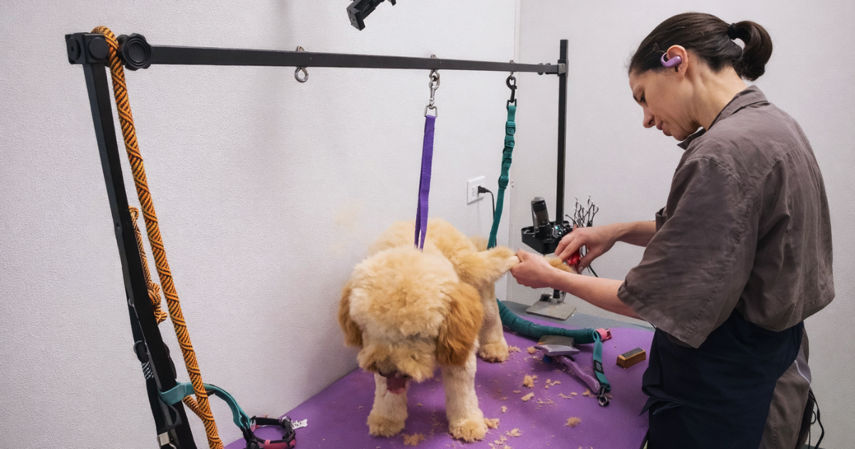 Eco-friendly, fear-free dog grooming at Logan’s House in Gurnee, Illinois.