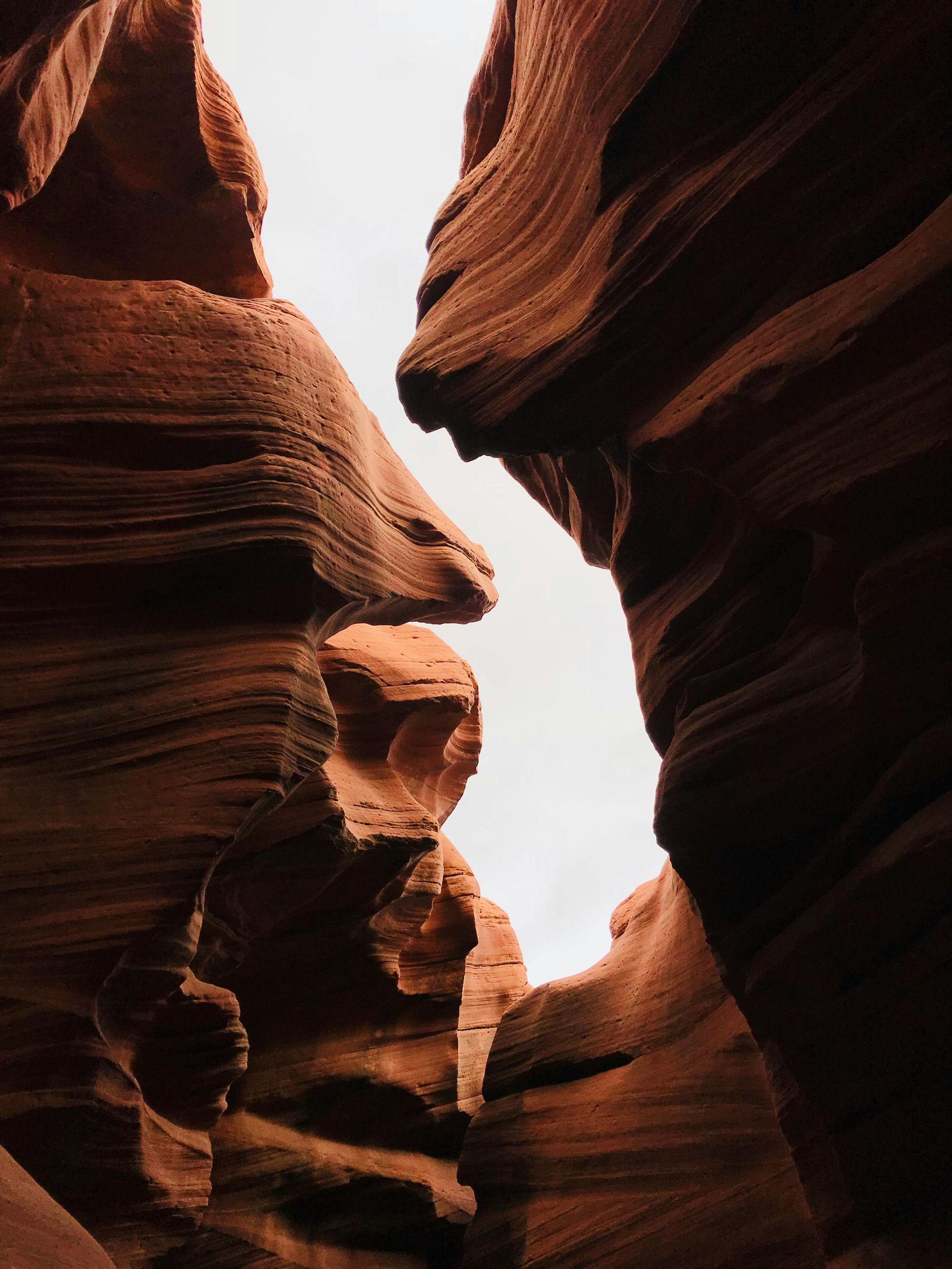 Red sandstone canyon walls with light filtering from above.