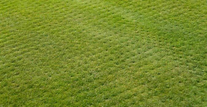 Lawn Aeration
