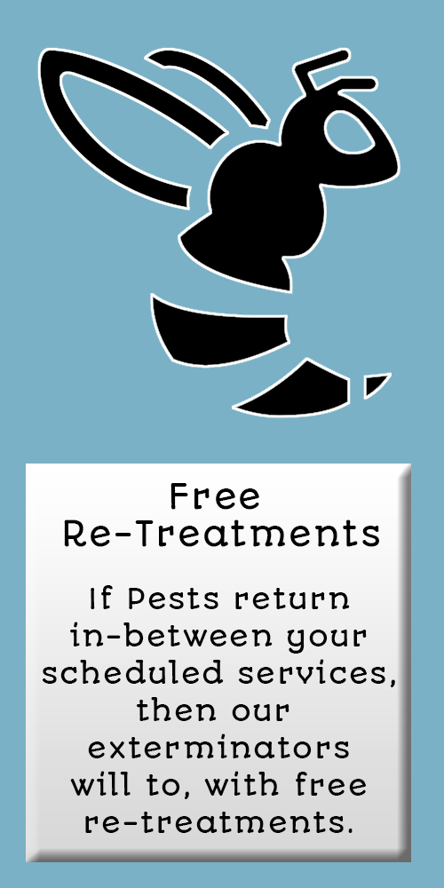 Pest Control Fresno, CA