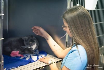 Services Veterinaire Pour Chien Et Chat Compiegne