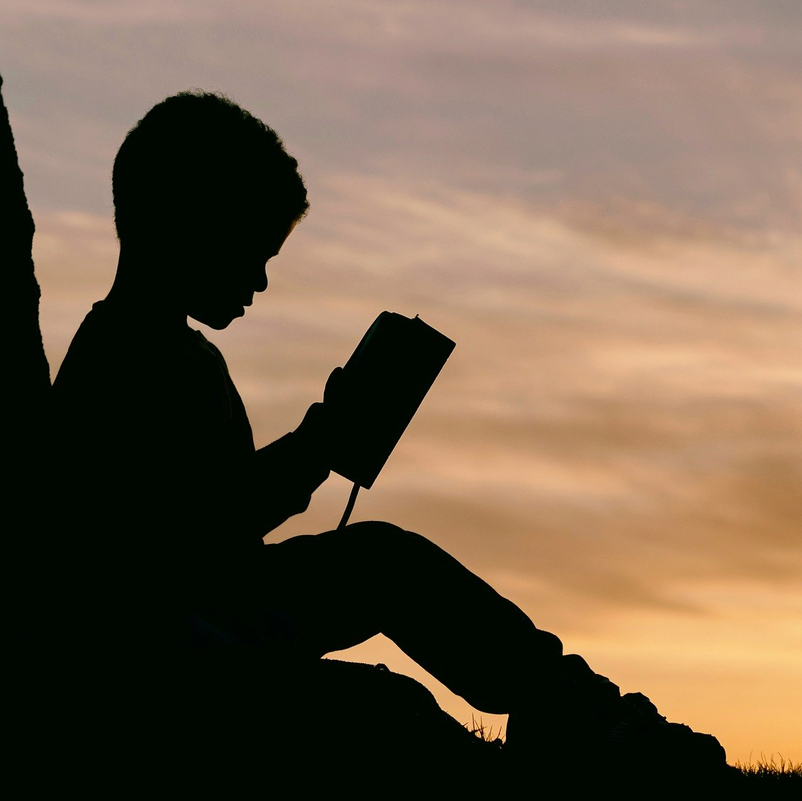 Boy reading a book in the sunset
