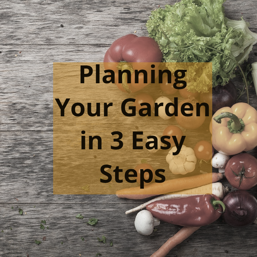 Planning Your Garden In 3 Easy Steps
