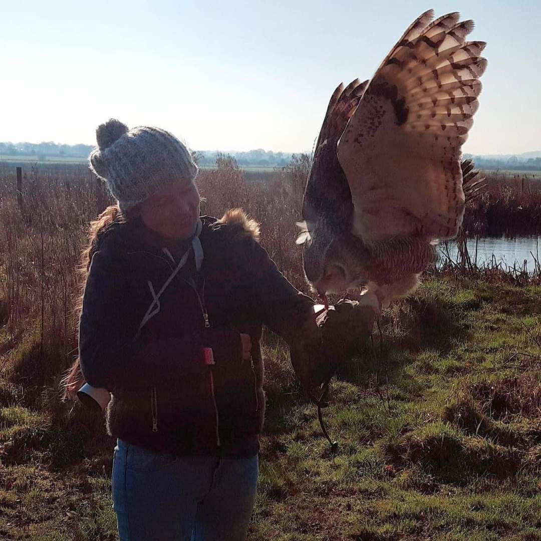 Stacie, a member of the Charli's Pet Angels team, holding a bird of prey