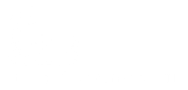 A white background with a few lines on it