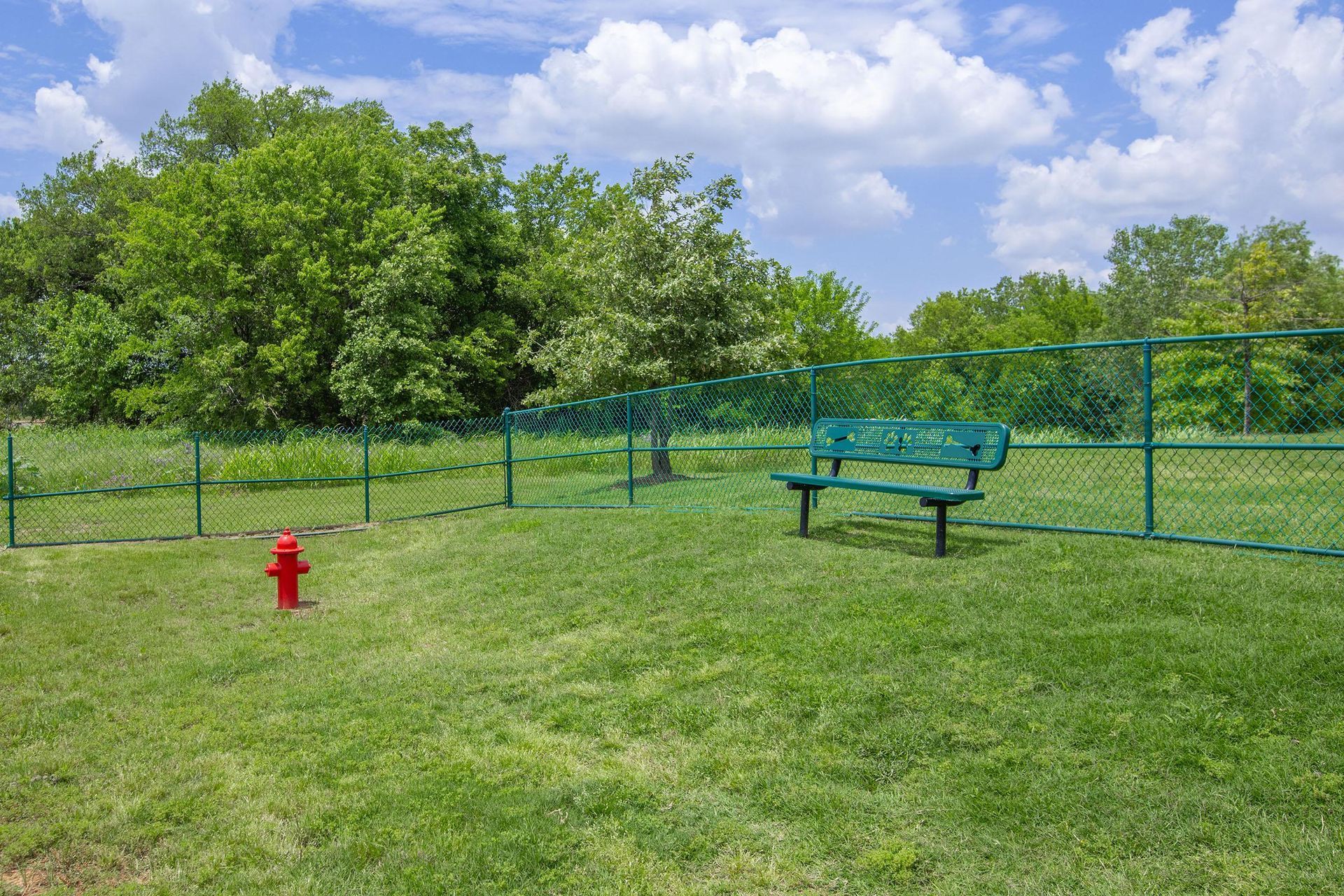 Green fence, bench, fire hydrant, and trees under a blue sky.