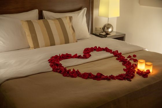 artist-special-offers