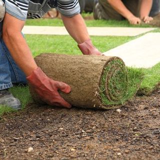 Turfing services