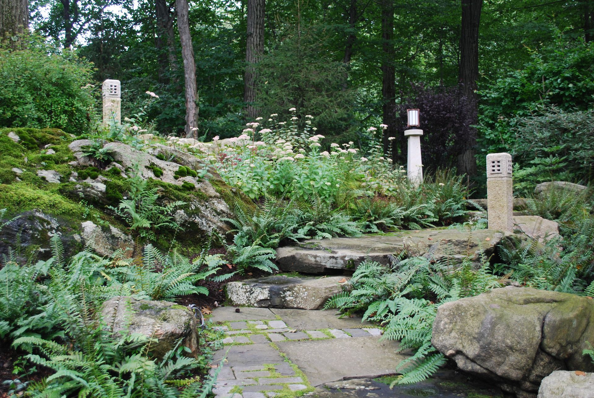 A stone path in the middle of a forest surrounded by rocks and ferns.