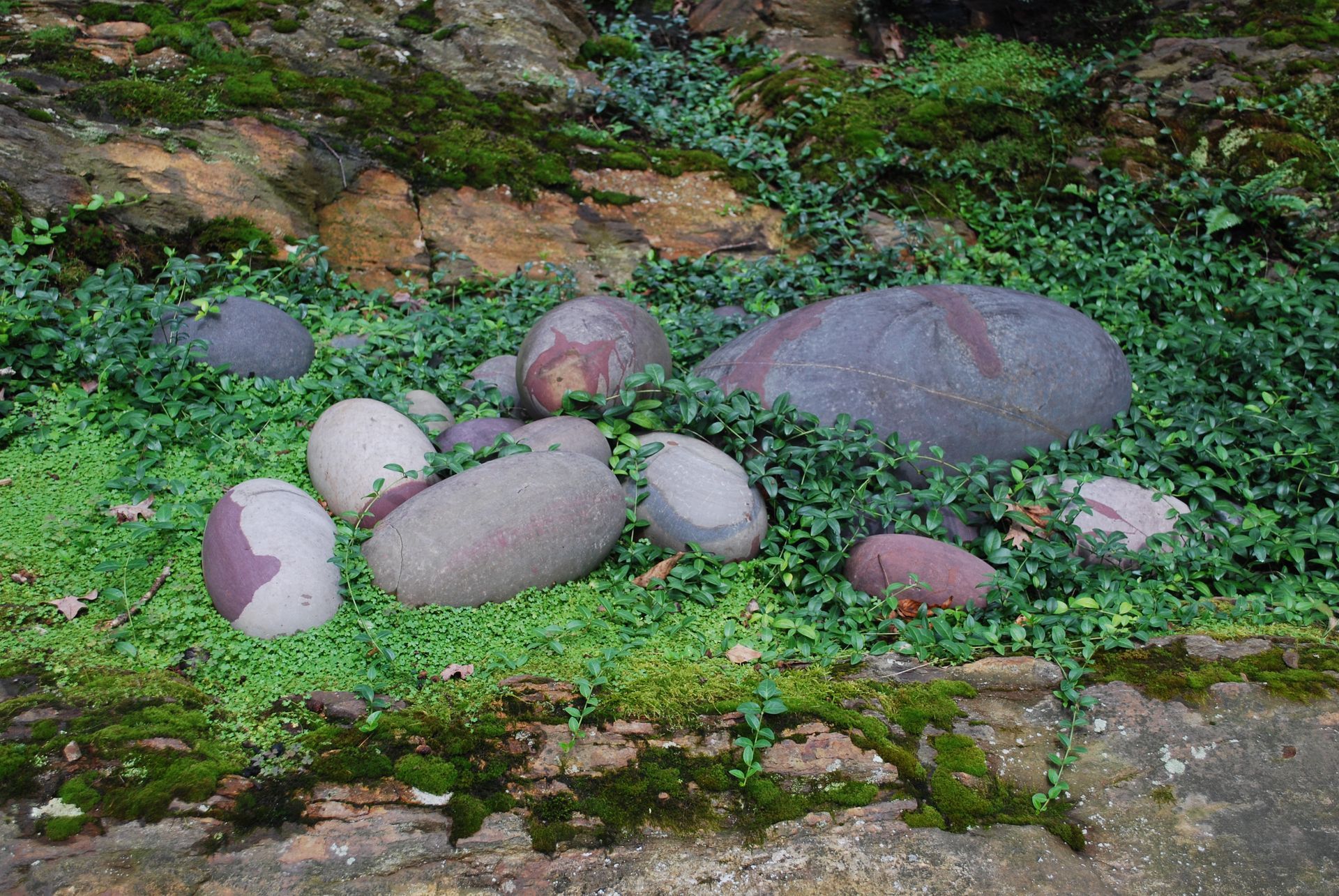 A pile of rocks surrounded by moss and plants