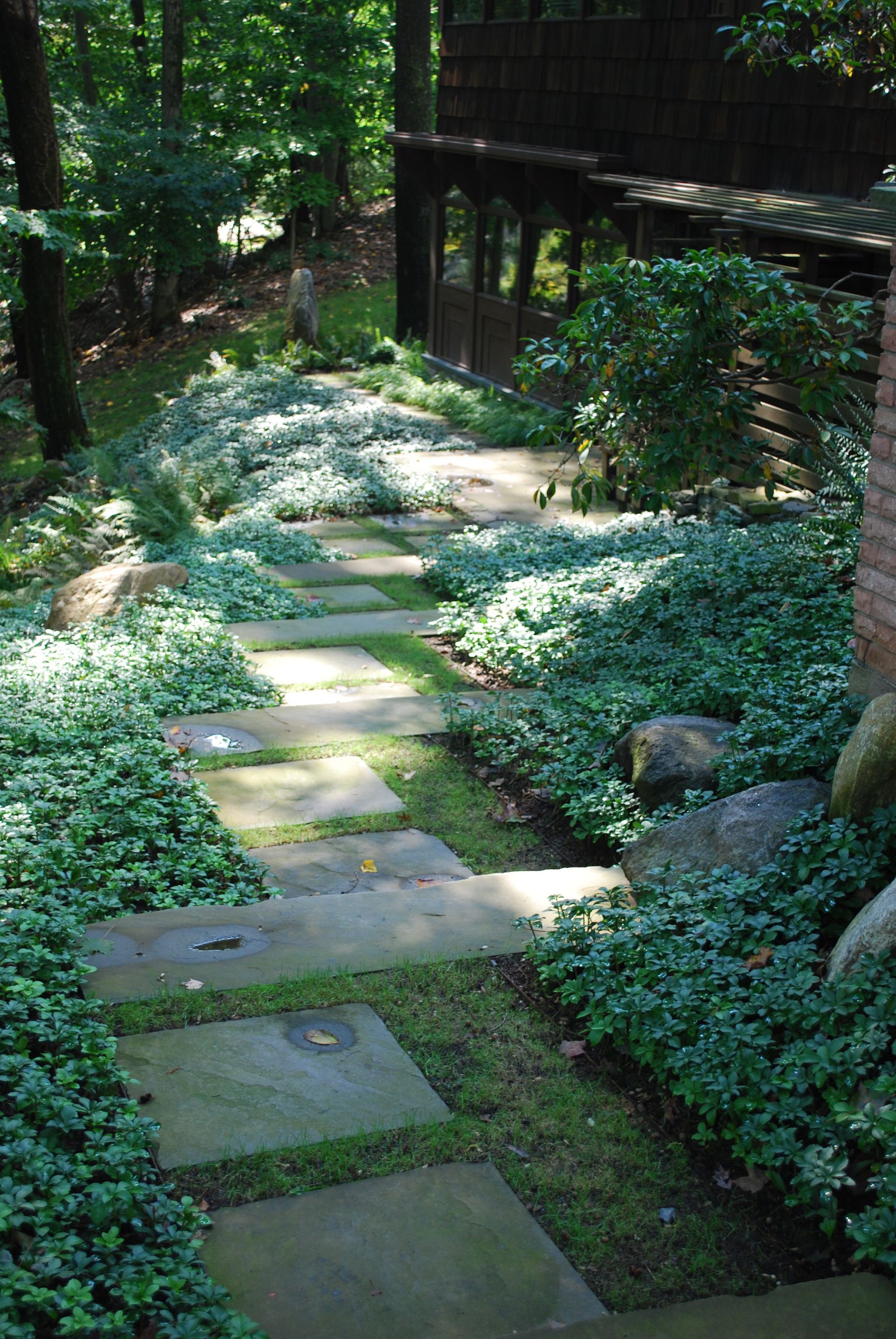 A stone walkway leading to a house in the woods.