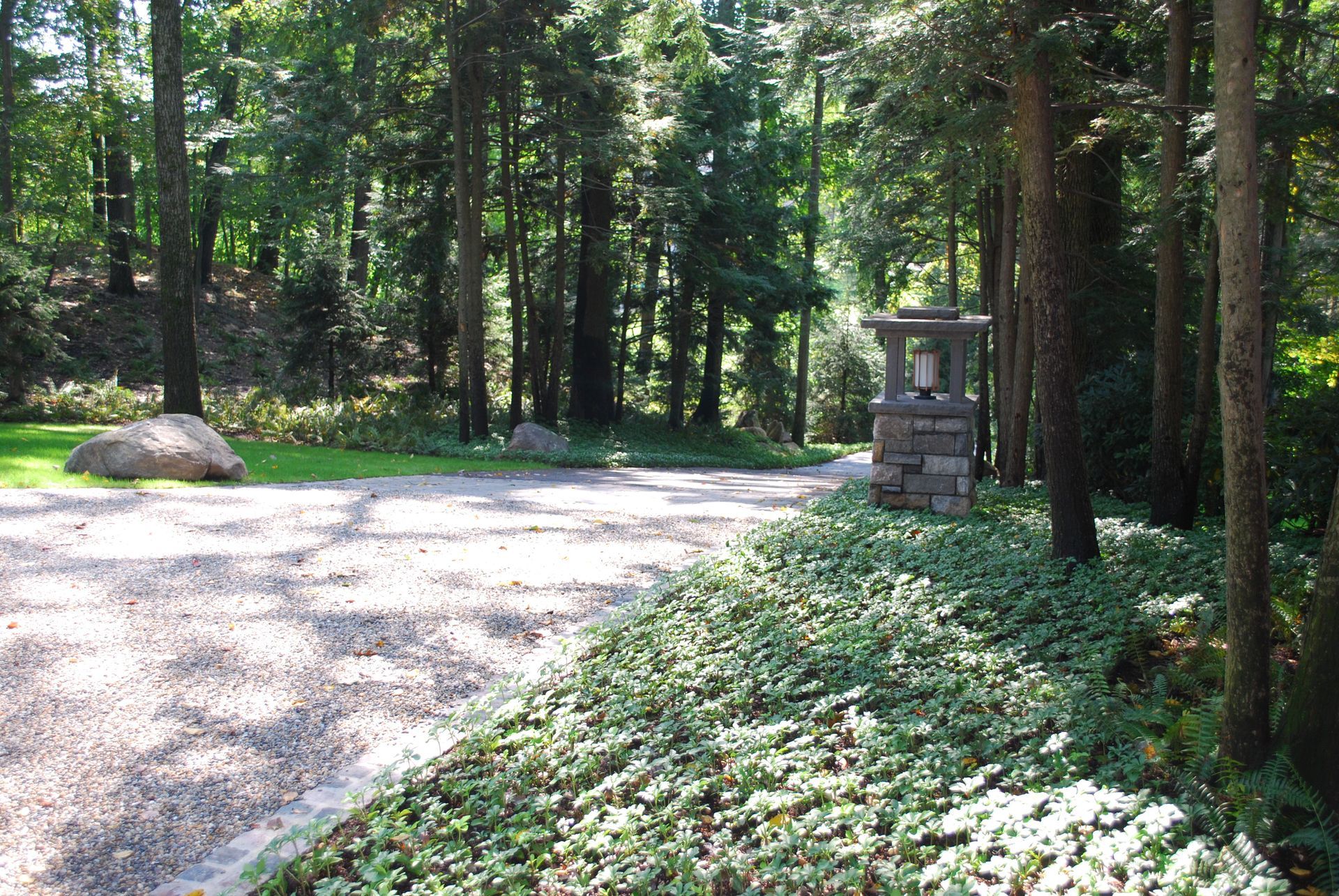 A gravel driveway in the middle of a forest