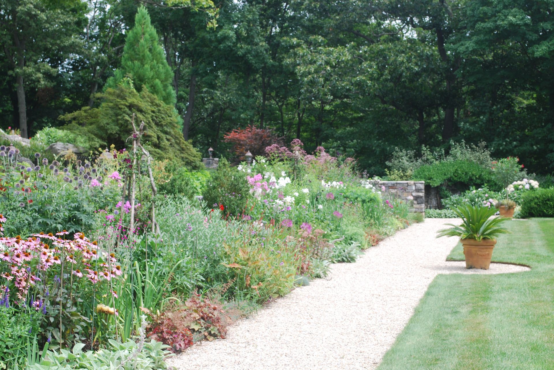 A gravel path in a garden surrounded by flowers and trees