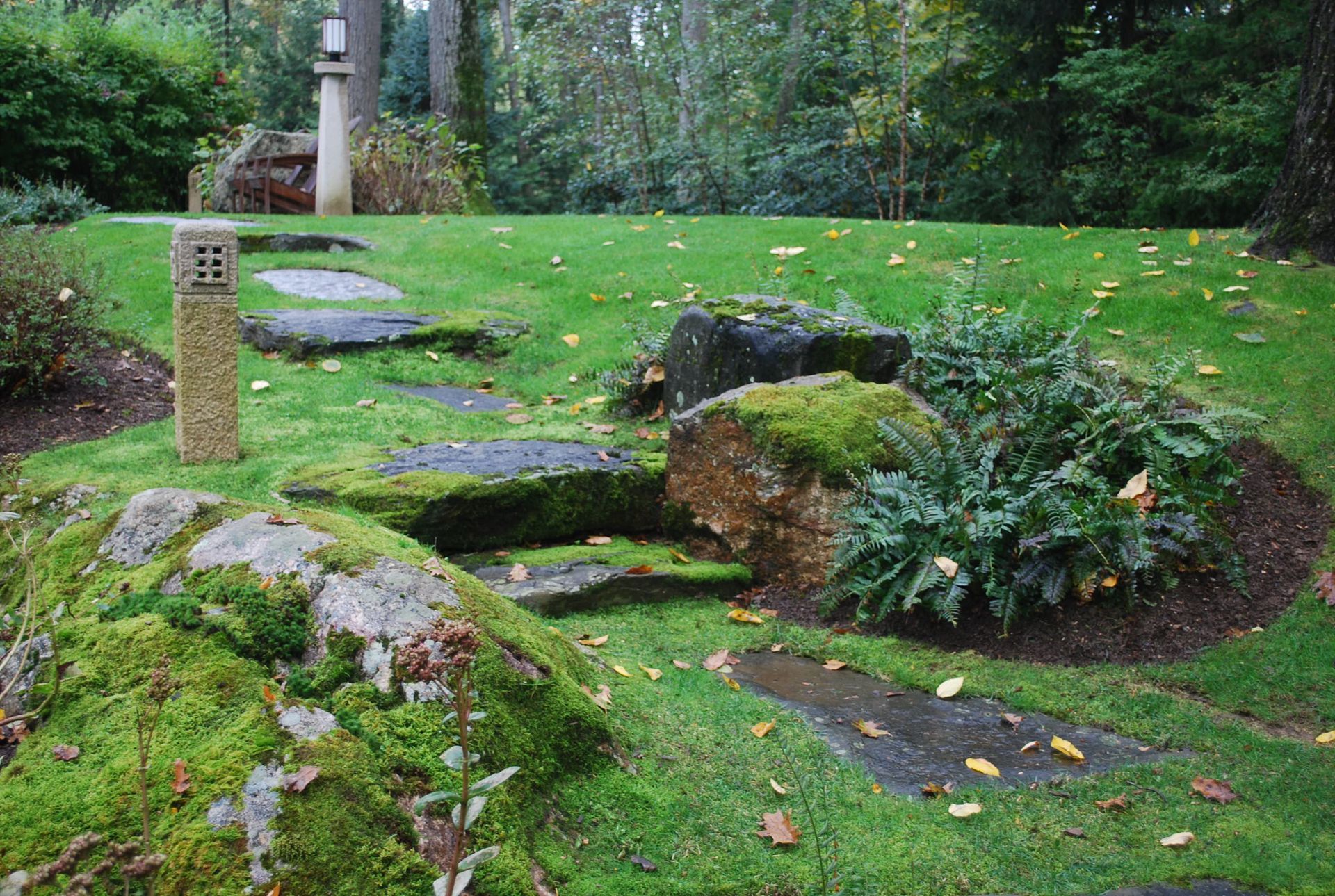 A garden with a lot of moss on the rocks and grass.