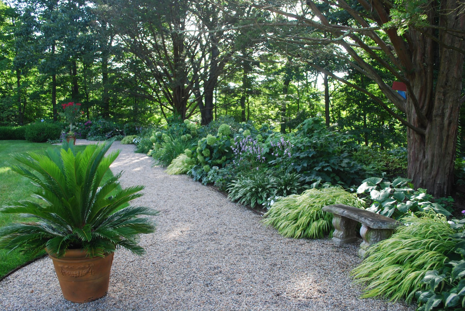 A potted plant is sitting on the side of a gravel path in a garden.