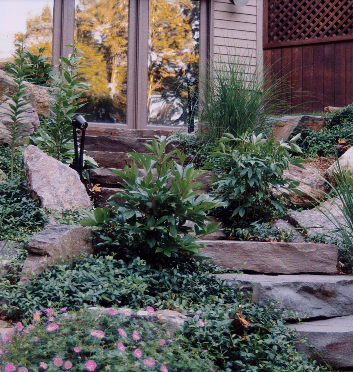 A garden with lots of plants and rocks in front of a house